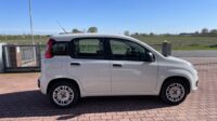 FIAT PANDA 1.2 5 POSTI EURO 6D