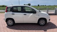 FIAT PANDA 1.2 EASY 5 POSTI EURO 6B