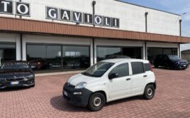 FIAT PANDA VAN 1.2 GPL EURO 6D 2POSTI