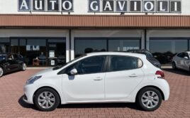 Peugeot 208 Bluehdi 1.6 75Cv van 2Posti Euro 6b