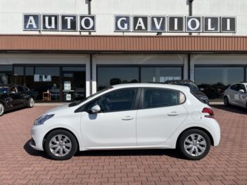 Peugeot 208 Bluehdi 1.6 75Cv van 2Posti Euro 6b