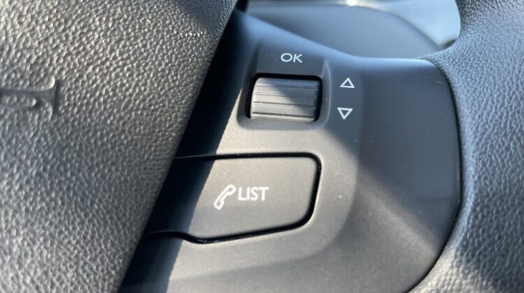 Peugeot 208 Bluehdi 1.6 75Cv van 2Posti Euro 6b
