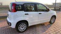 FIAT PANDA 1.2 Easypower E6b GPL 69cv