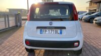 FIAT PANDA 1.2 Easypower E6b GPL 69cv