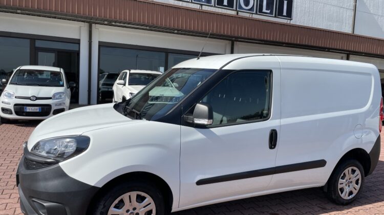 FIAT DOBLO CARGO CH1 LOUNGE 1.6 MJET 105CV E6D S&S