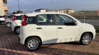 FIAT PANDA 1.2 Easypower E6b GPL