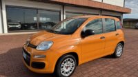 Fiat Panda 3ª serie Panda 1.2 Easy Euro 6b