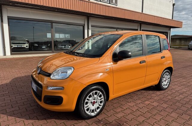 Fiat Panda 3ª serie Panda 1.2 Easy Euro 6b