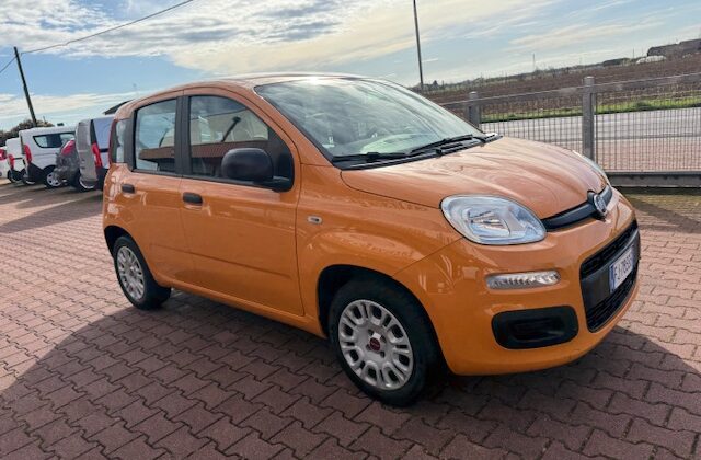 Fiat Panda 3ª serie Panda 1.2 Easy Euro 6b