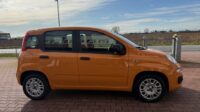 Fiat Panda 3ª serie Panda 1.2 Easy Euro 6b