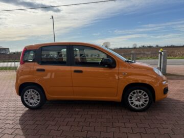 Fiat Panda 3ª serie Panda 1.2 Easy Euro 6b