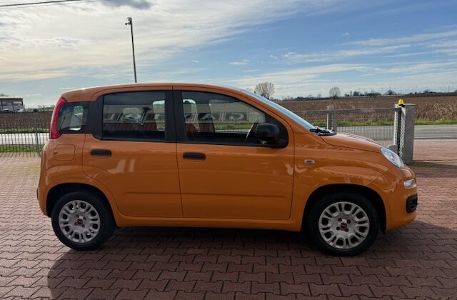 Fiat Panda 3ª serie Panda 1.2 Easy Euro 6b