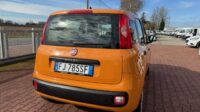 Fiat Panda 3ª serie Panda 1.2 Easy Euro 6b