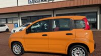 Fiat Panda 3ª serie Panda 1.2 Easy Euro 6b