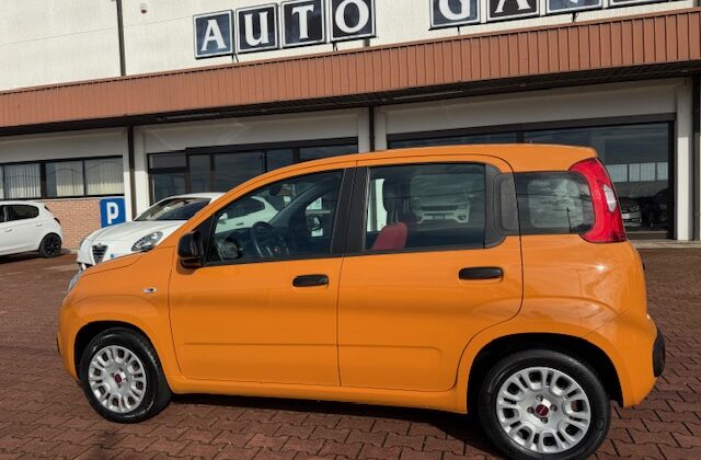 Fiat Panda 3ª serie Panda 1.2 Easy Euro 6b