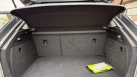 AUDI A3 SPB 30 TDI 116CV 1.6 S-Tronic EURO 6 D-Temp.