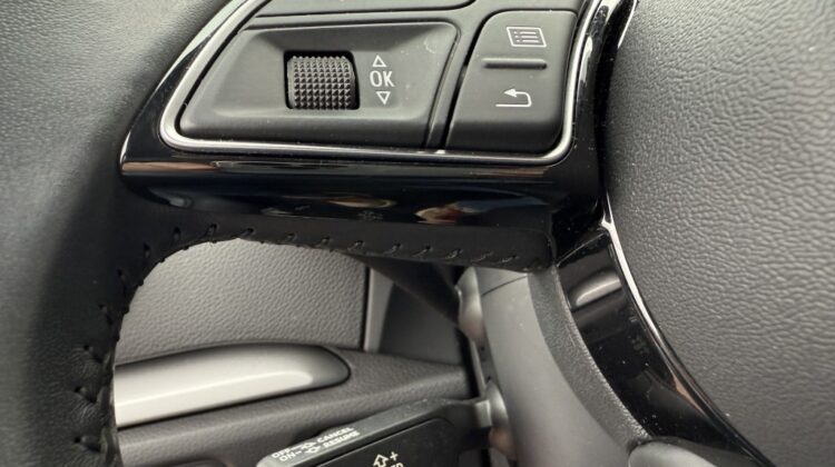 AUDI A3 SPB 30 TDI 116CV 1.6 S-Tronic EURO 6 D-Temp.